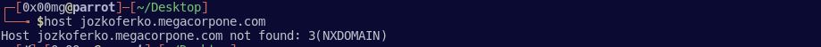 dns